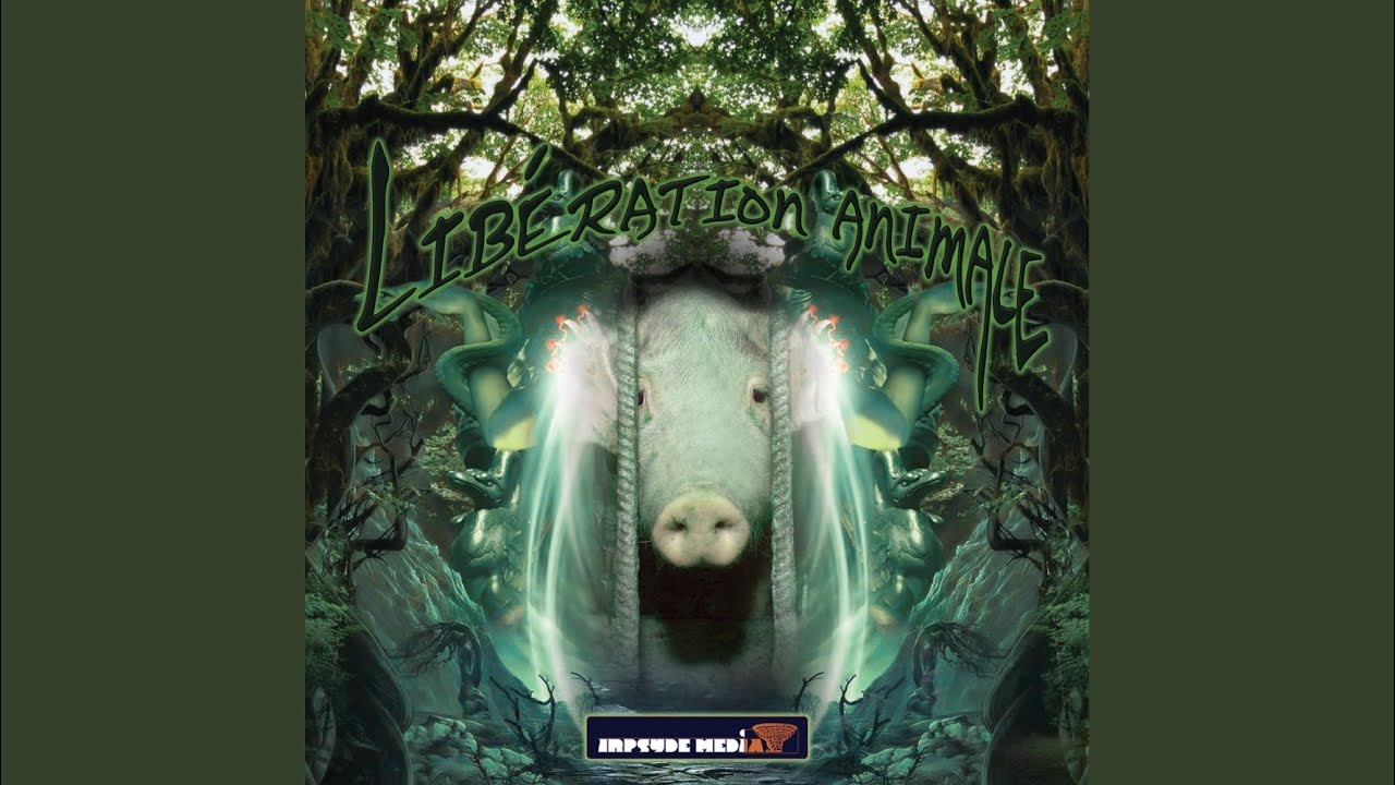 Watch Alien Elbow (Original Mix) on YouTube Watch Alien Elbow (Original Mix) on YouTube