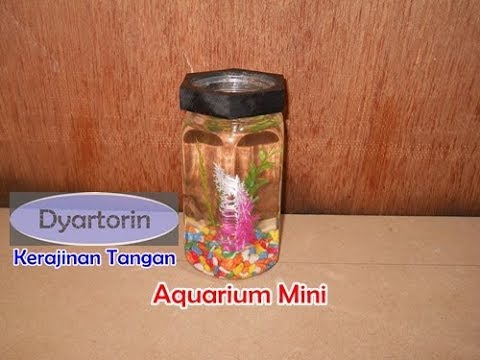 Cara Membuat Aquarium Mini Dari Wadah Bekas - YouTube