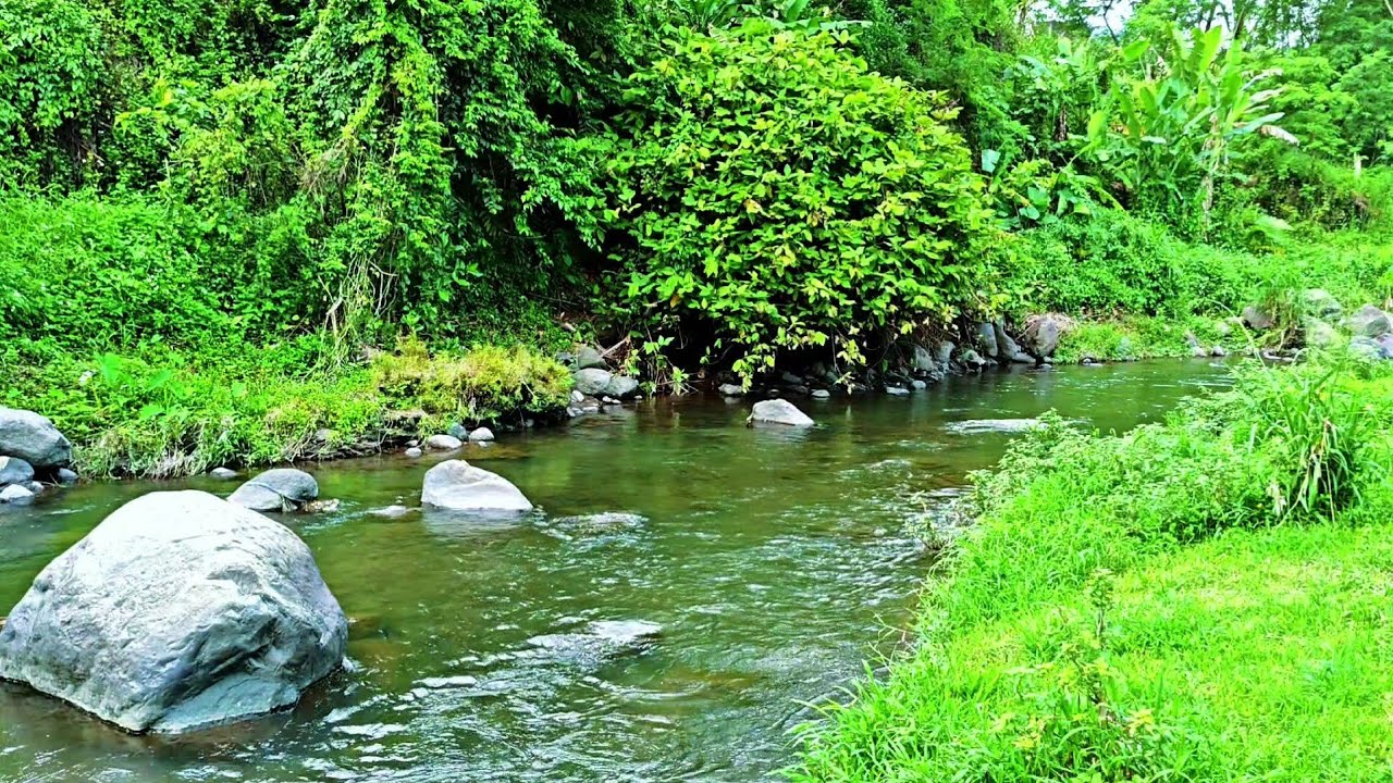 Gentle Stream Sleep Sound for Deep Relaxation and Better Sleep Quality