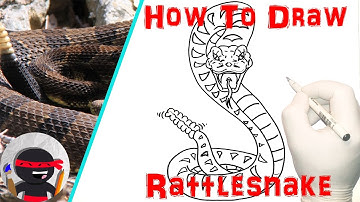 How To Draw a Rattlesnake | Easy, Step By Step Tutorials For Beginners