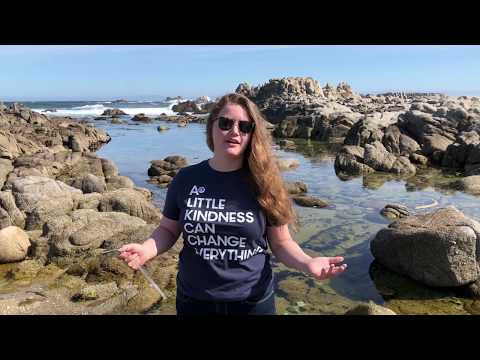 Carry a Reusable Straw - Do a Kind Act Today #choosekindness