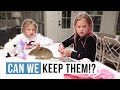 Look what we caught | Can we keep them? | The LeRoys