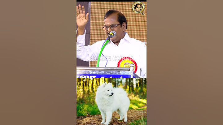 புலவர் இராமலிங்கம் | ஒரு லட்சம் ரூபாய் நாய் யோசிக்குமா ? #trending #latest #comedyshorts