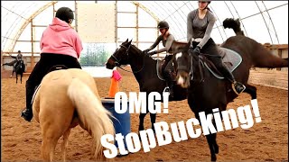Hilarious Horseback Riding Challenge!
