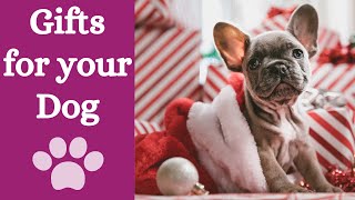 Dog gift buying guide: best dog gifts under 15euros - recommended by trainer by Finn Paddy Dog Training 41 views 1 year ago 2 minutes, 25 seconds
