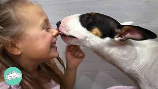 Girl Was Jealous Of This Bull Terrier. But Pup Won Her Over | Cuddle Buddies