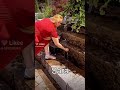 نجمة التيك توك الجديده تثير الجدل
