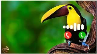 ALLAHU AKBAR, Most Beautiful Nasheed, New HAMD, Lyrical Video, Hafiz Abdur Razzaq, Islamic Ringtone