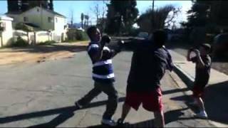 PBS13 vs. ms13