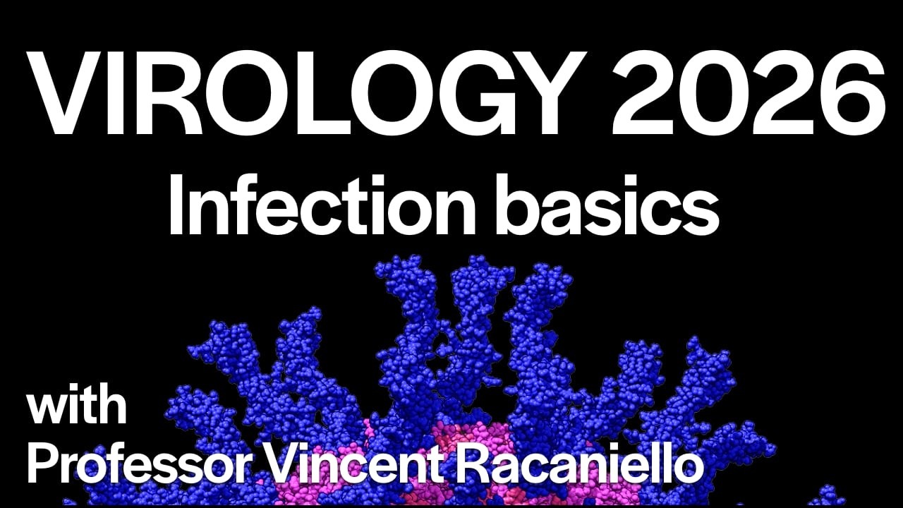 Virology Lectures 2026 #12: Infection basics