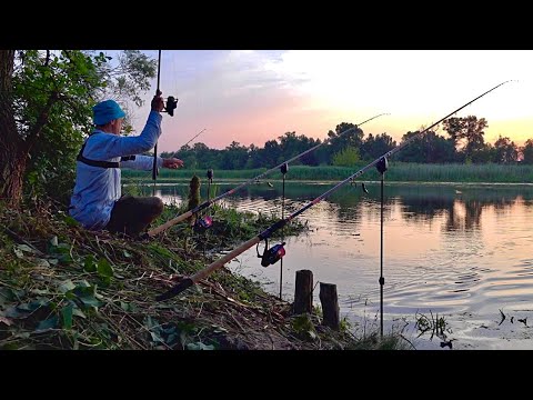 Видео: Друг запросив на рибалку. Рибалка з ночовкою в диких місцях!