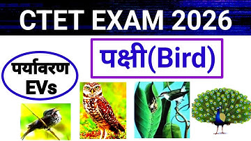CTET EXAM 2026 EVS CLASS | Environmental Chapter For CTET Exam | Ctet Exam EVs पक्षी टॉपिक |पर्यावरण