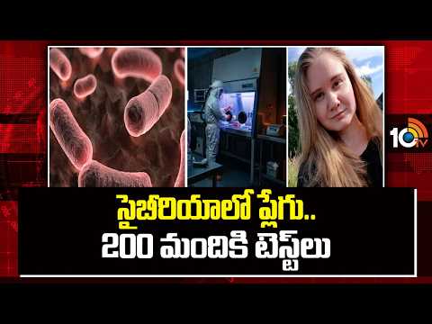 Pneumonic plague outbreak in Russia: సైబీరియాలో ప్లేగు..200 మందికి టెస్ట్‌లు | 10TVNews - 10TVNEWSTELUGU