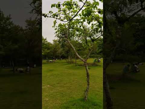 Morning at Biodiversity park..jaipur...nature at its extreme beauties...