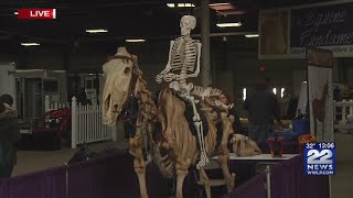 Premiere horse exposition comes to West Springfield