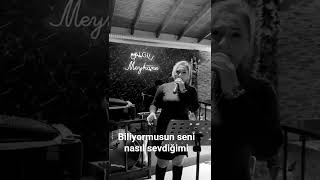 Biliyor Musun Seni Nasıl Sevdiğimi