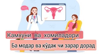 картинка: Камхуни, зарари он дар вакти хомиладори. Роҳҳои табобат