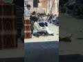 لما الطفل يكون هو العرض الرئيسي خطف الاضواء