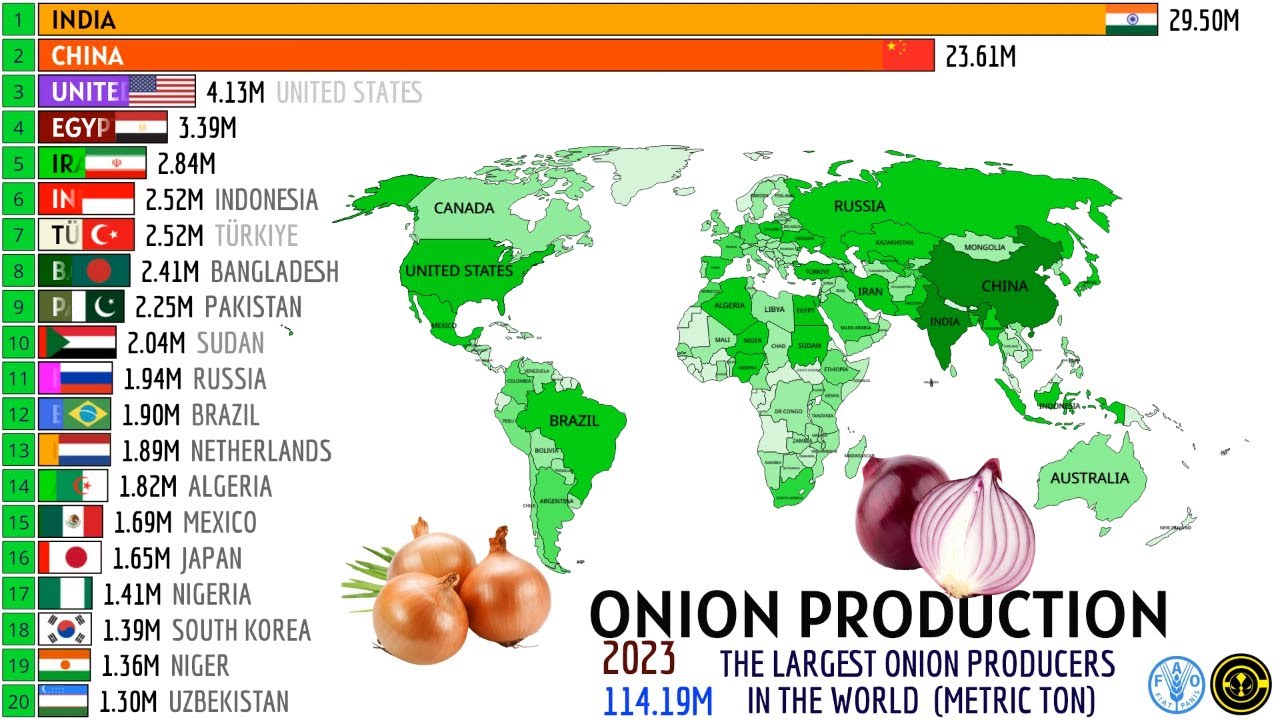 КРУПНЕЙШИЕ ПРОИЗВОДИТЕЛИ ЛУКА В МИРЕ