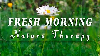 🌿🌞 Fresh Morning Healing Sounds To Wake Up With Positive Energy 🌻Start Fresh Every Day With Nature