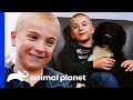 Meet The Boy On A Mission To Re-home Every Shelter Dog! | Dodo Heroes