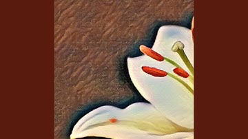 Debonair Backdrops for Relaxing Experiences