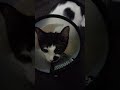 Zitoona рџђ Zitoona рџђ