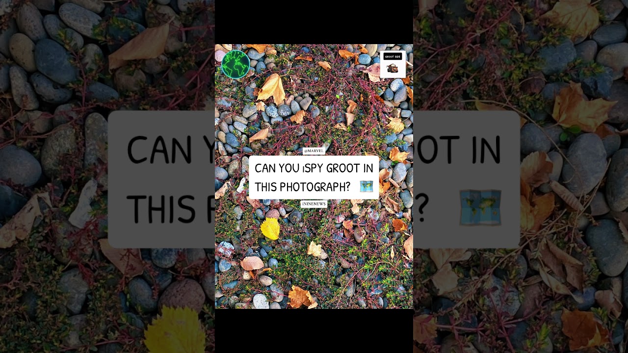 NATURE MEME 🗺️ • 