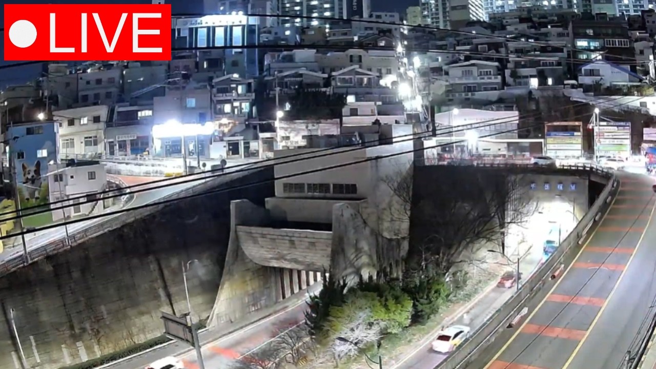 🔴Korea Live Cam: Busan 💚실시간 부산 라이브 캠 😊韓国 釜山 ライブ💕
