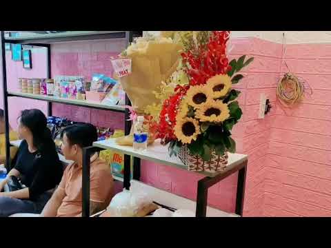 thu cung hcm 2022 Update Sen Pet Shop khai trương chi nhánh spa thú cưng tại HCM