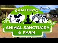 San Diego Animal Sanctuary & Farm Part 2 - Bison