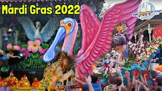 Mardi Gras New Orleans | How to Do Carnival in New Orleans!