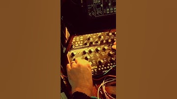 brassy bonzai - ARP 2600 / Moog Mother32 / PWM Malevolent  #experimental #mother32  #synth