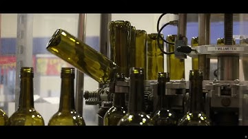 Musto Wine Grape: Serving Wineries, Home Winemakers & Everyone in Between! 🍷