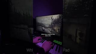 White Noiz Ambience Pad 🌌 From Silent Hill 2 #whitenoiz #silenthill2 #vst #sample #soundtrack