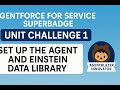 Agentforce for Service Superbadge Unit challenge 1