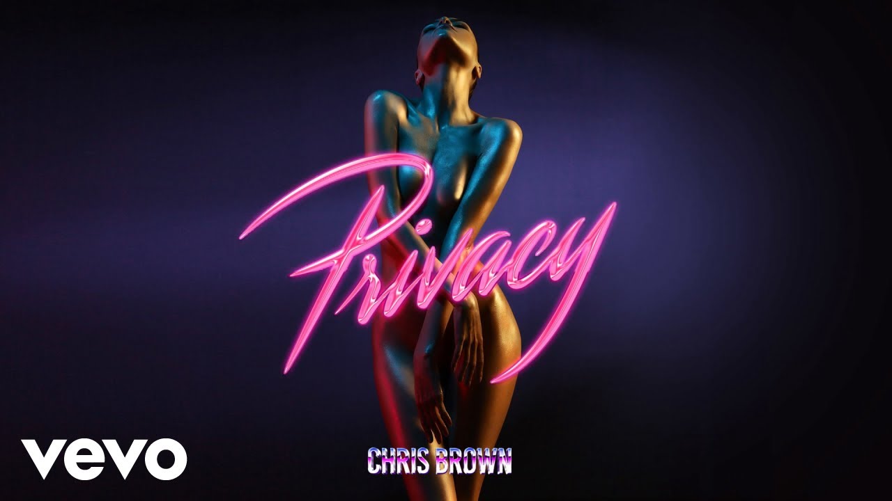 Chris Brown   Privacy Audio