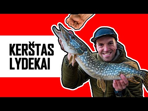 Video: Kokį Masalą Pasirinkti žvejojant Lydekas Spiningu