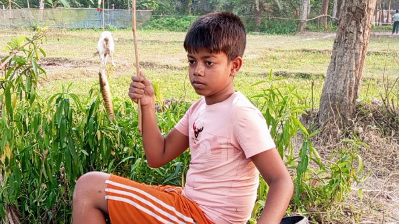 Farm huts behind trees | hook swings gently into deeper zone | part 1