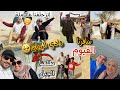 قضينا يوم كامل🔥في الفيوم لأول مرة🤩رقص💃وزحلقة⛷️مخيم ٥ نجوم🤭طلعنا الجبل🗻سني مايسمحش بالكلام ده🤣