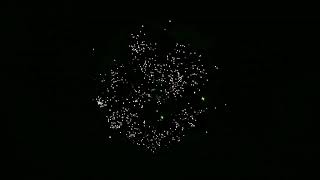 SFC15498