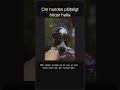 Om hunden plötsligt börjar halta #Shorts