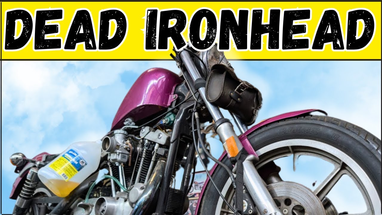 Reviving a 1982 Harley That Sat in Water for Years – It Lives!