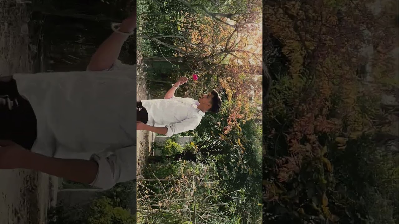 aesthetic cinematic video🔥🔥  forest 🌴#nature #naturephotography #cinematic #arijitsingh #reels