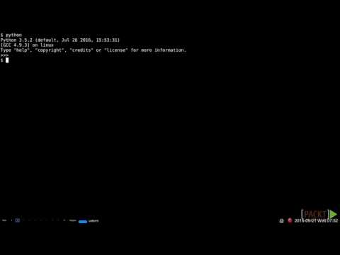 08   Using the Command Line and the Interactive Shell