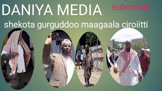 Sheekoti Beekamotu Ciroo Jira Arraa Tana Ske Amiin Ibro Like Share Subsubire Godhun Nu Jajabesa