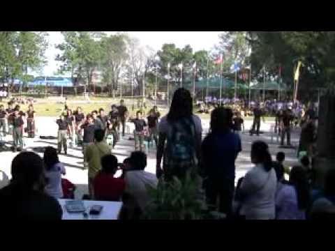 john carlo diligence.wmv