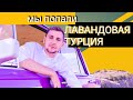 Лавандовые поля | Турция