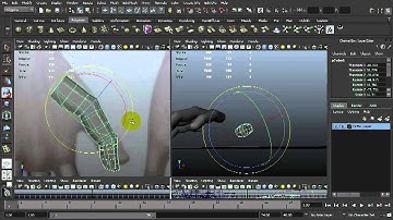 WR Notes Model Hand Maya 3/7