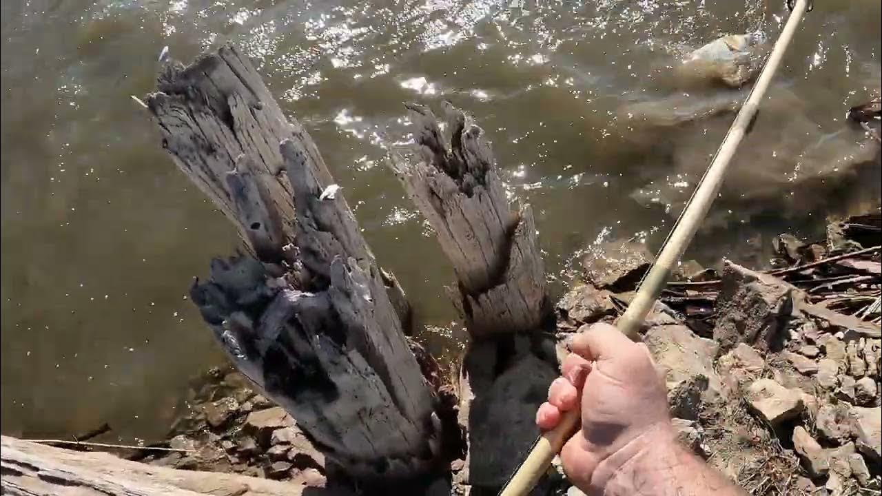 Snagging for carp! YouTube